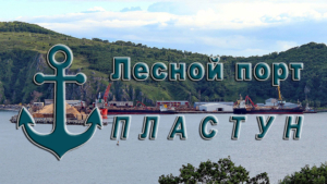 Пластунский порт для отгрузки на экспорт древесины, круглого леса и технологической щепы в страны АТР